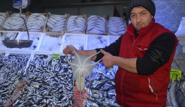 Gören şaştı kaldı! "Daha önce böylesini görmedik"