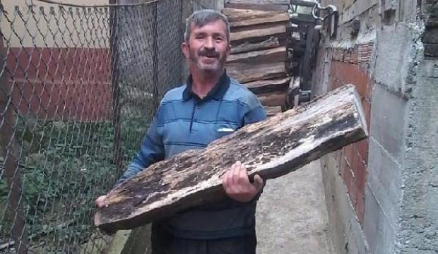 Kestiği ağaç sonu oldu!