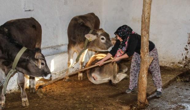 İstanbul'dan köyüne dönüp işinin patronu oldu