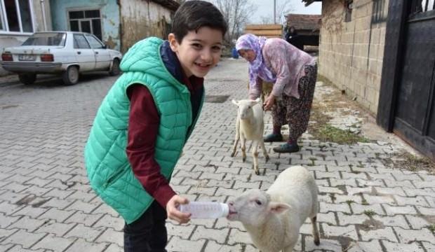 8 yaşındaki Görkem hayatı boyunca diyet yapmak zorunda