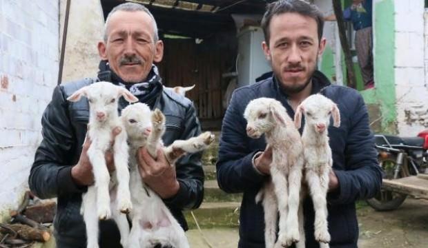 Şaşkına çeviren olay! 'İlk kez karşılaştım'