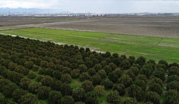 Müjde geldi! O süre uzatıldı