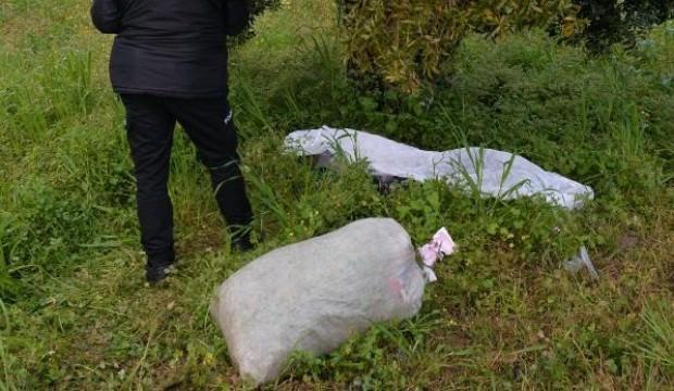 Yabani ot toplamaya gitti, ölü bulundu