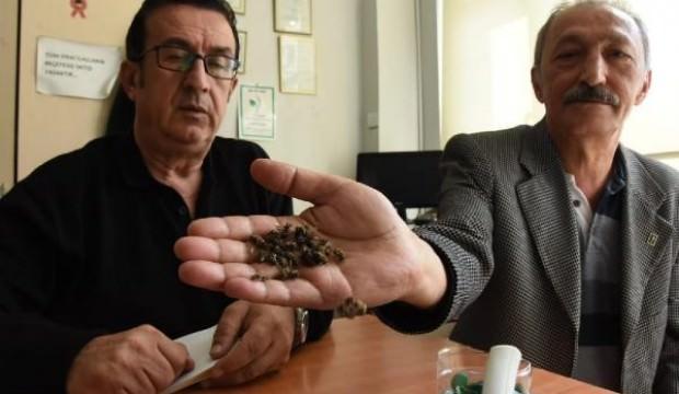 İnegöl'de korkutan olay!