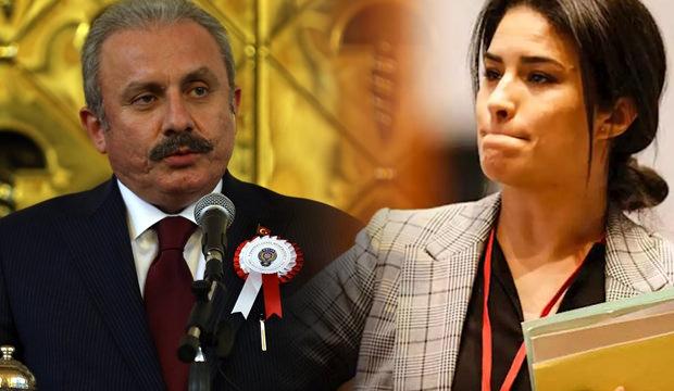 TBMM Başkanı Şentop'tan Sonia Krimi'ye sert tepki