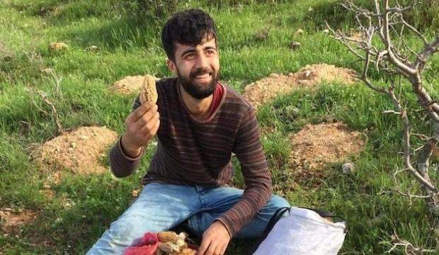 Yağmur yağınca ortaya çıktı: Kilosu 200 lira