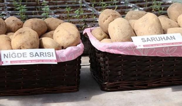 2 yerli patates çeşidi daha tescillendi