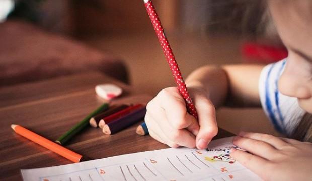 Özel okul sayısı 4 yılda % 74 arttı