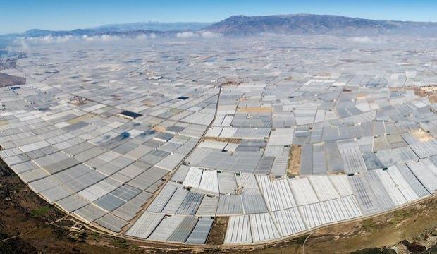 Sebze ve meyvede fiyatları düşürecek dev adım