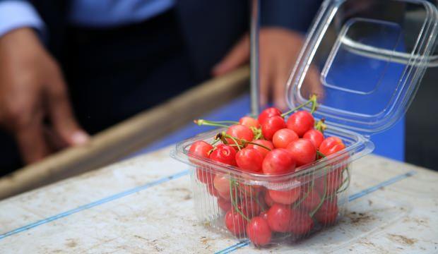 Tanesi 1 liraya satılan erkenci kiraz hediyelik oldu