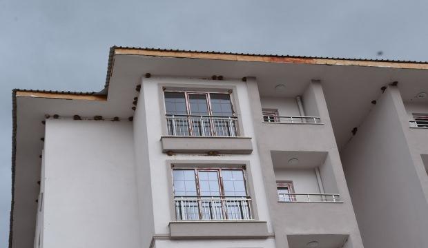 TOKİ inşaatını durduran kırlangıçlar yine yuva yaptı