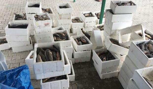 Yer: Kırşehir... 149 kasa içinde bulundu