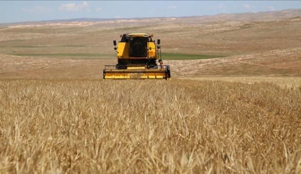 Hububatta prim başvuruları 30 Nisan'da sona eriyor
