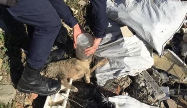 Kafası kavanoza sıkıştı, imdadına asker koştu