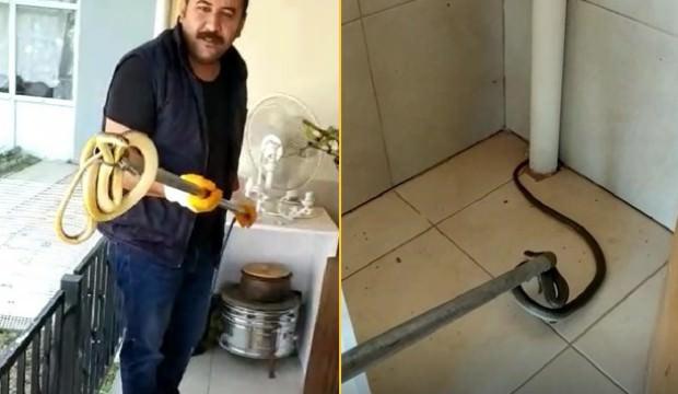 Eve giren 2 metrelik yılan hayatının şokunu yaşattı
