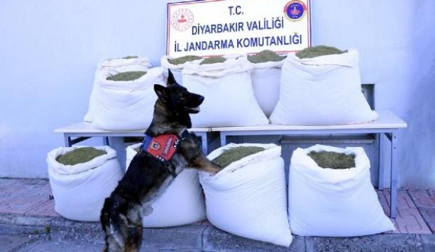 Lice'de minibüste 346 kilo esrar ele geçirildi