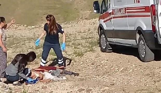 Dehşet! Köpekler evine dönen kadını öldürdü