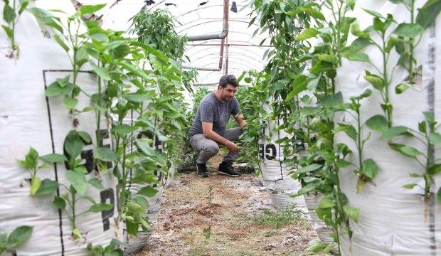 Elektrik mühendisi, serasında ’Çuval’la para kazanıyor