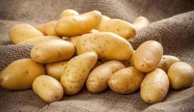 "Patates tarlada 1,4 liraya kadar geriledi"