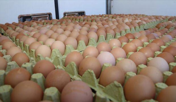 Yumurtanın kolisi 5 liraya kadar düştü