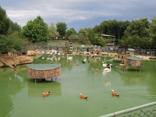 Beykoz Polonezköy- Hayvanat Bahçesi