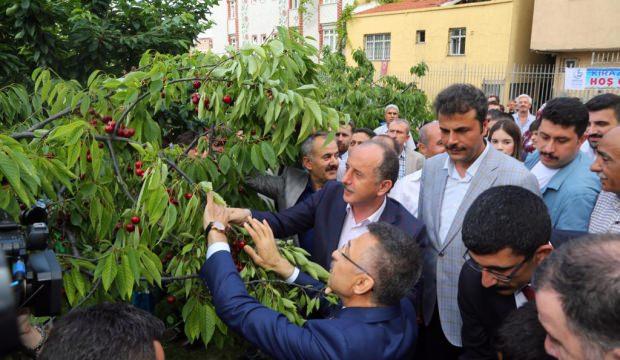 Bağcılar'da Kiraz Bahçesi’nde 11. Kiraz Hasadı etkinliği