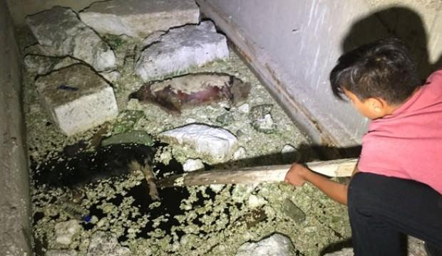 Bursa'da esrarengiz olay! Çocuklar buldu