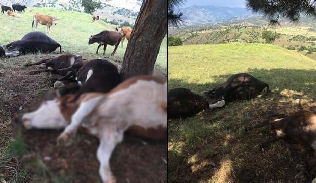 Çorum'da üzücü olay! Yağmurdan korumak istedi ama...