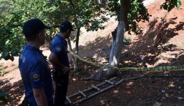 Dut toplamak istedi, canından oldu