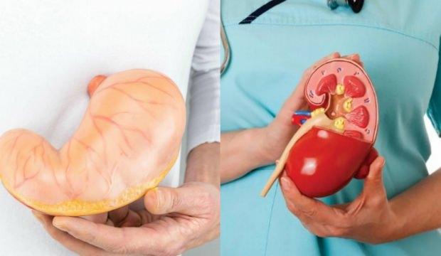 Gastrit belirtileri & bitkisel tedavisi! Gastrite ne iyi gelir? Doğal kür