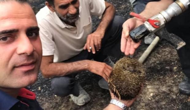 İtfaiyeden yangında mahsur kalan kirpiye hayati müdahale