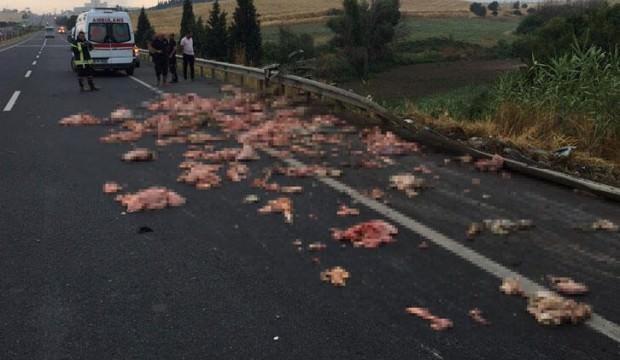 Kamyonet devrildi, kasasındaki sakatatlar yola saçıldı