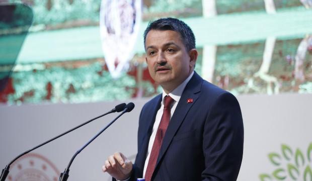 "Türkiye, tekrar hayvan ihraç eder konuma gelecek"