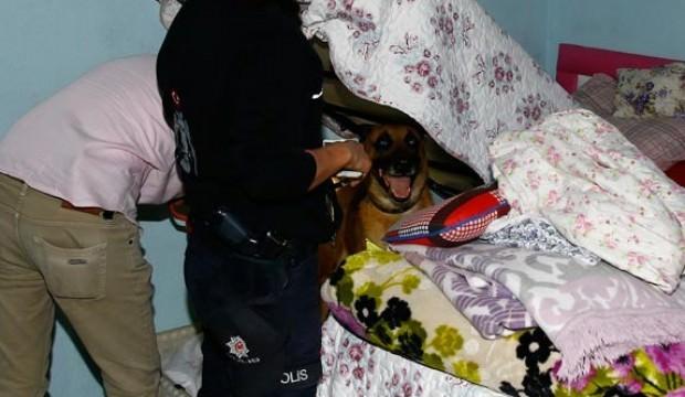 Ankara'da asayiş uygulaması! Çok sayıda polis katıldı...