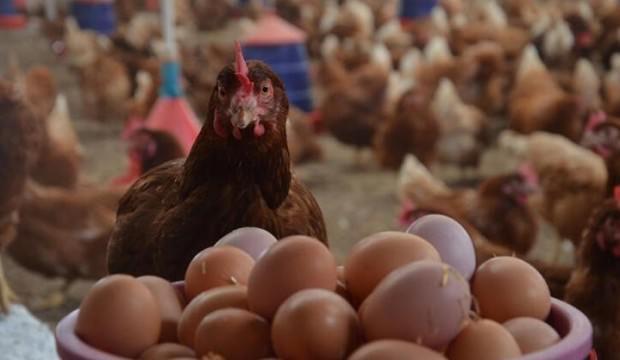Bakanlık açıkladı: 90 gün vadeli satış yapılacak