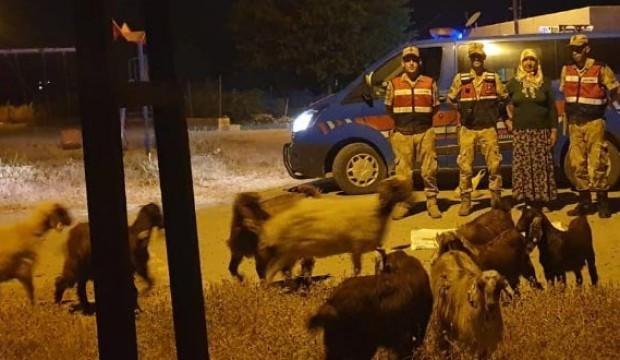 Kilis'te hareketli gece... Drone ile tespit edildiler!