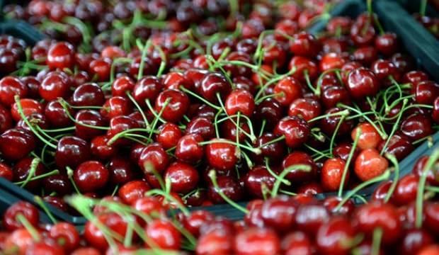 Türkiye'den bir ilk daha! Çin'den sonra o ülkeye de satıldı