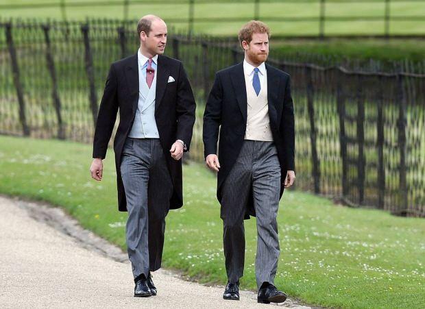 Prens William ile Prens Harry 