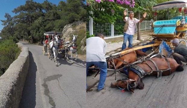 Adalardaki fayton tartışmalarına Cumhurbaşkanı Erdoğan noktayı koydu