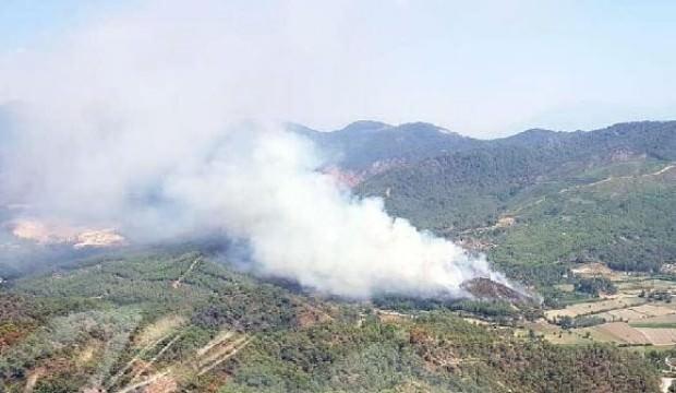 Muğla'da orman yangını: Havadan ve karadan müdahale ediliyor