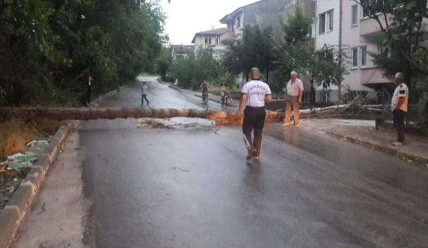 Tokat’ta fırtına çatıları uçurdu, ağaçları devirdi