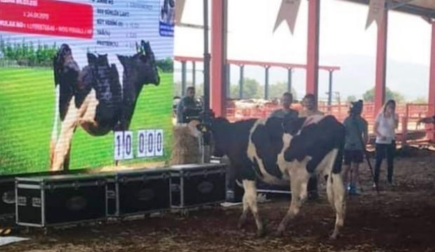 Açık artırımla satışları devam ediyor