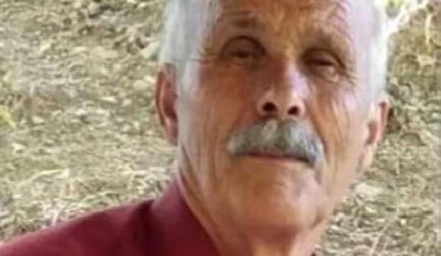 Ağaç keserken üzerine tomruk düşmesi sonucu öldü