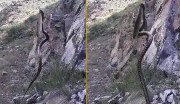 Böylesi görülmedi! Oltasını çekince gözlerine inanamadı