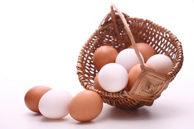yumurta diyeti faydaları yararları nelerdir