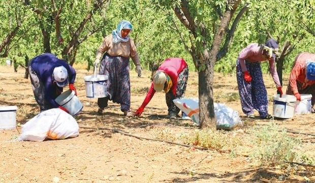 Üretim için harekete geçildi! Türkiye, ABD'nin tahtını sallayacak