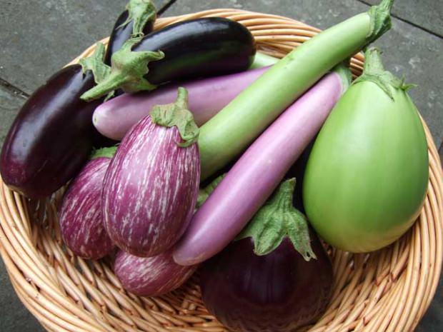 patlıcan saplarının faydaları
