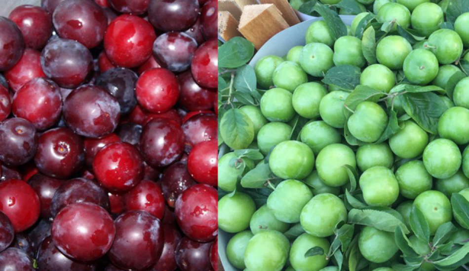 yesil_erigin_faydalari_nelerdir_kirmizi_kiraz_erik_suyu_ne_ise_yarar_1564579276_9676.png