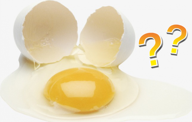 Yumurtanın sarısı mı yoksa beyazı mı faydalı