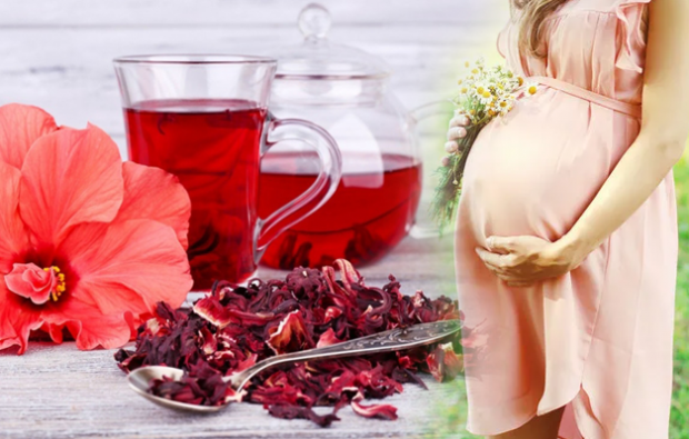 Hamilelik önleyici Hibiskus çayı tarifi